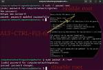 Question: How Do I Enable Root in Linux Mint?