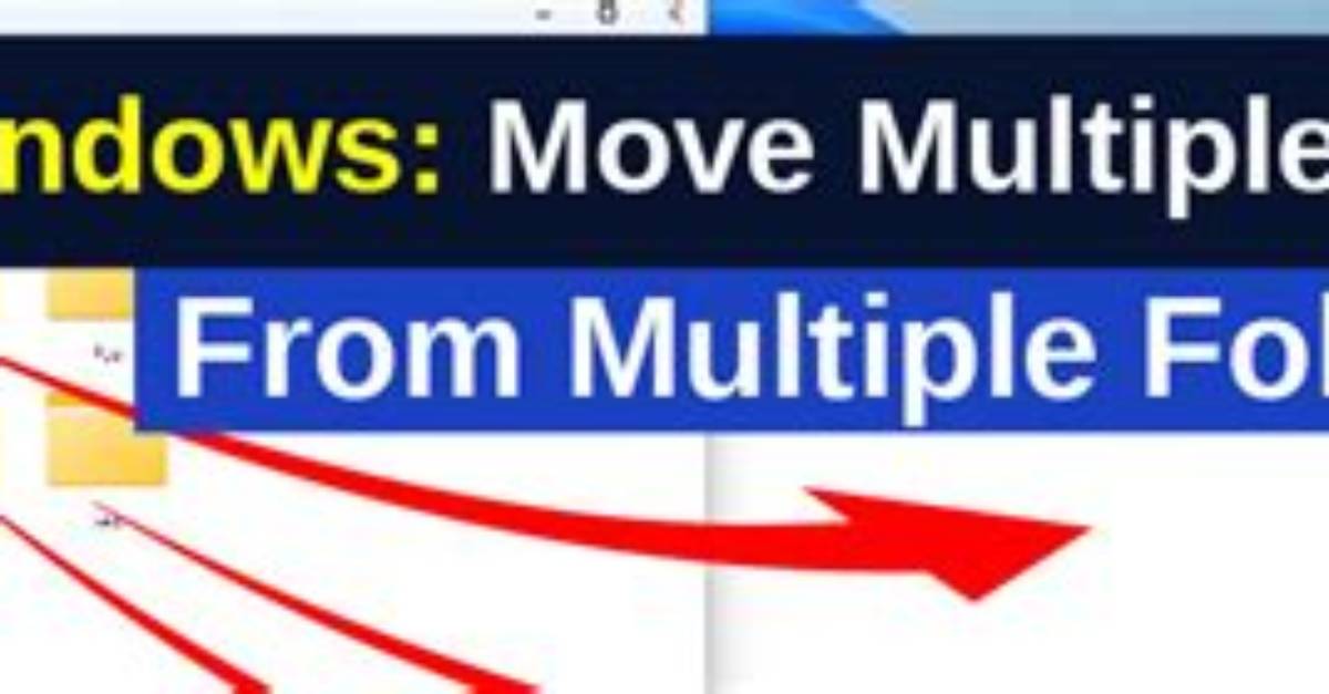 Question: How Do I Move Multiple Files into a Folder in Linux?