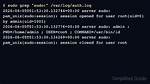 Question: How Do I See Sudo Logs in Linux?
