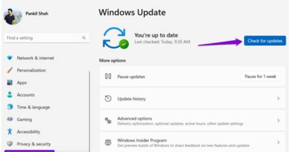 Question: How Do I Skip Windows Update Feature?