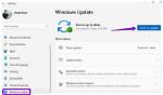 Question: How Do I Skip Windows Update Feature?
