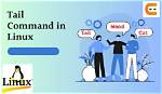 Question: How Do You Tail Command in Linux?