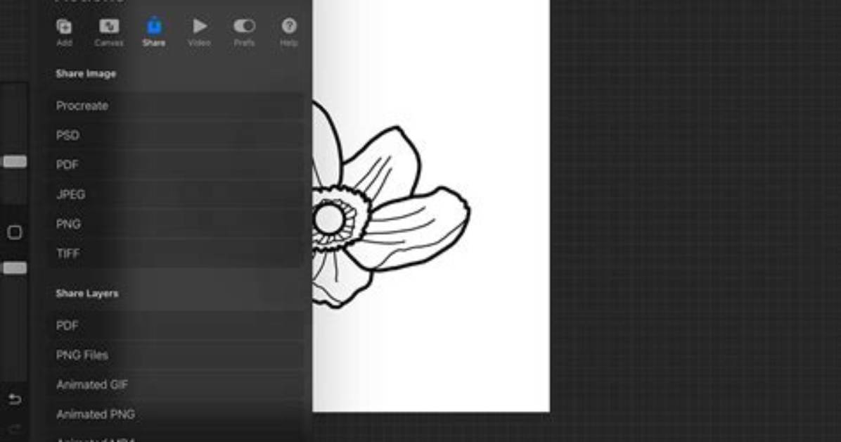 Question: How Do You Vectorize in Procreate Lettering?