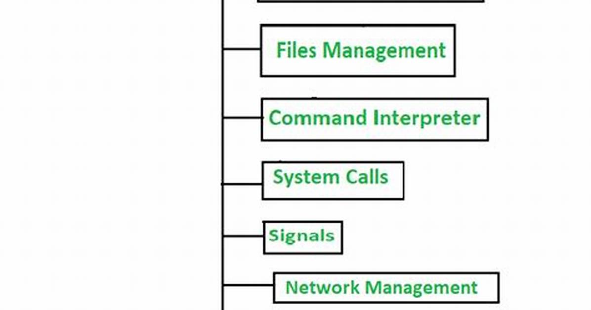 Question: How Does an Operating System Control Hardware and Software?