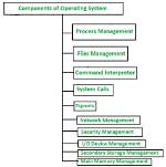 Question: How Does an Operating System Control Hardware and Software?