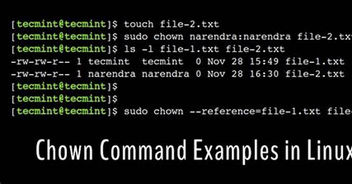 Question: How Does Chown Command Work in Linux?