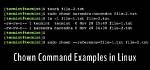 Question: How Does Chown Command Work in Linux?