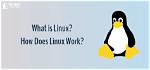 Question: How Does Linux Work Compared to Windows?