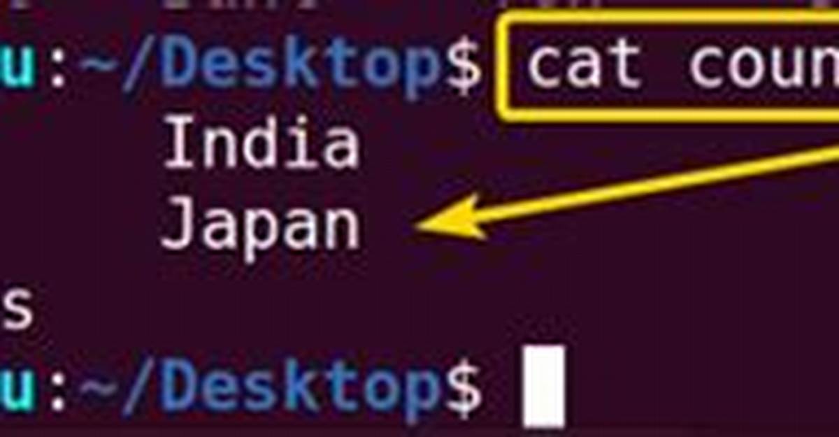 Question: How to Paste in Linux?