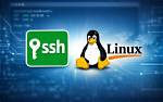 Question: How to Ssh Linux?