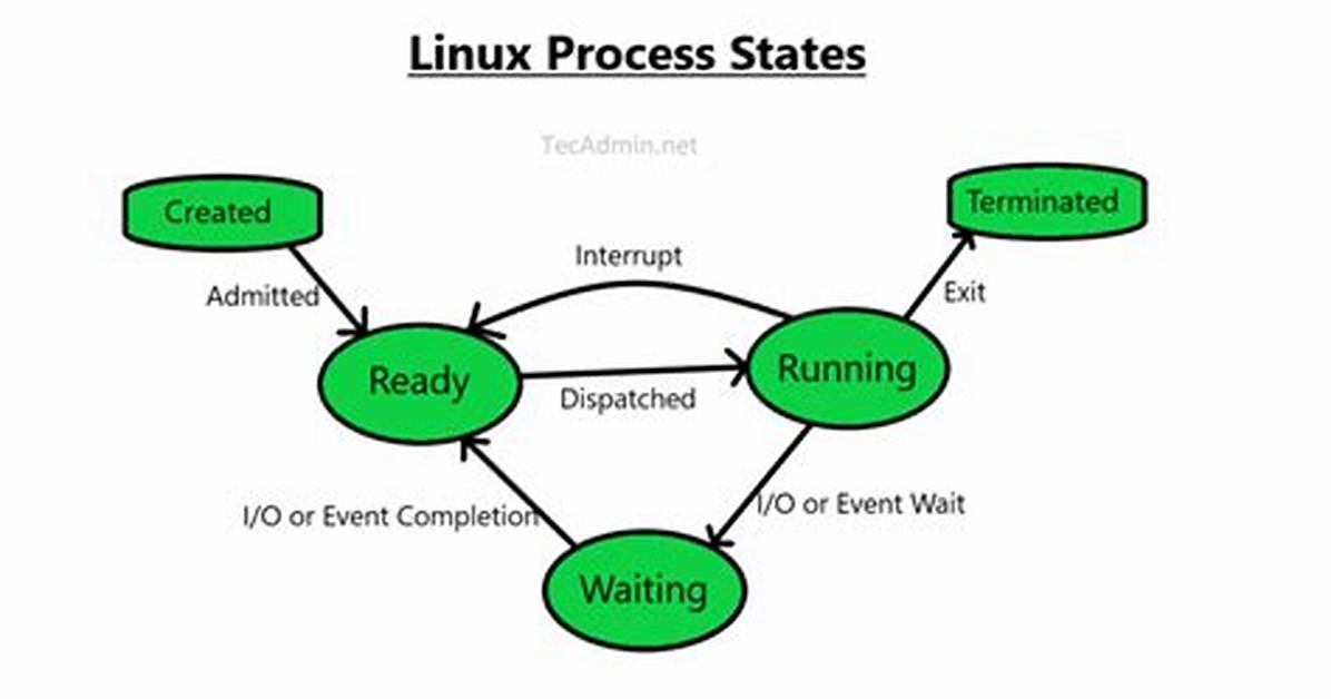 Question: How to Stop Process in Linux?