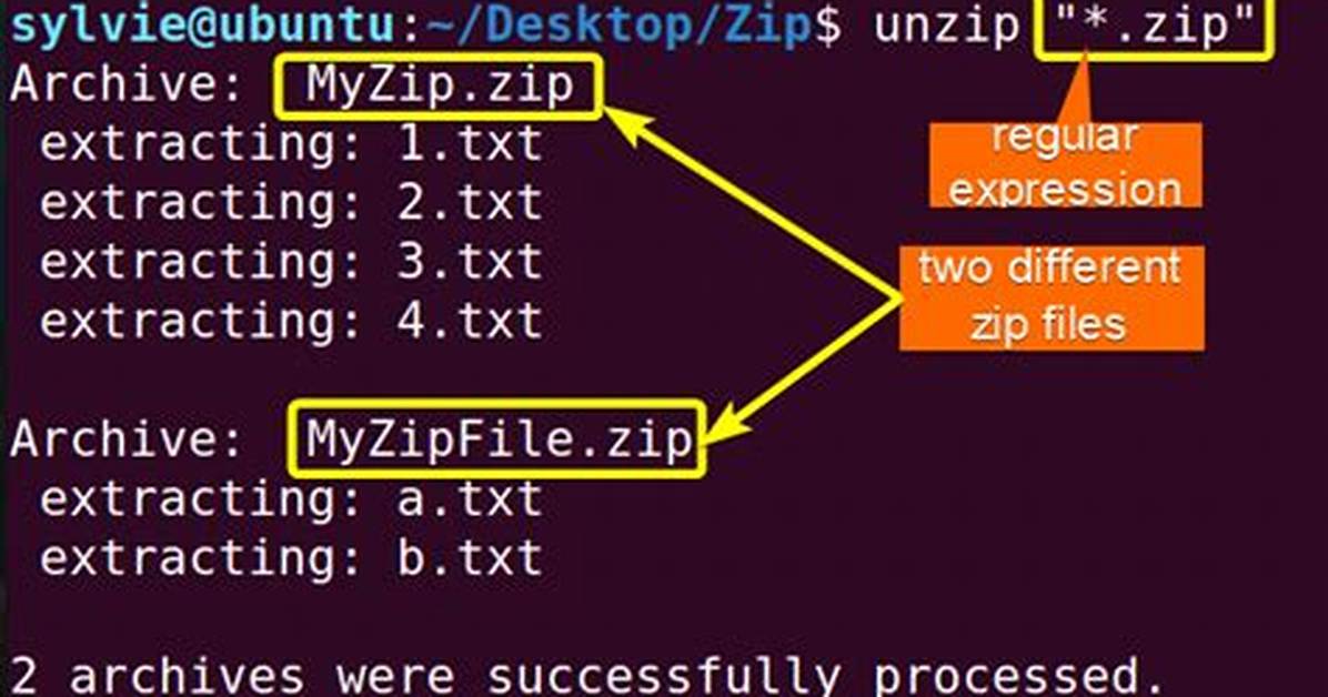 Question: How Unzip Multiple Files in Linux?
