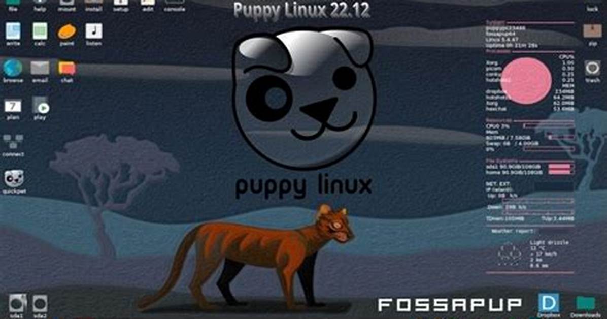 Question: Is Puppy Linux Secure?
