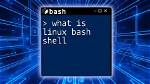 Question: Linux What Shell Am I Using?