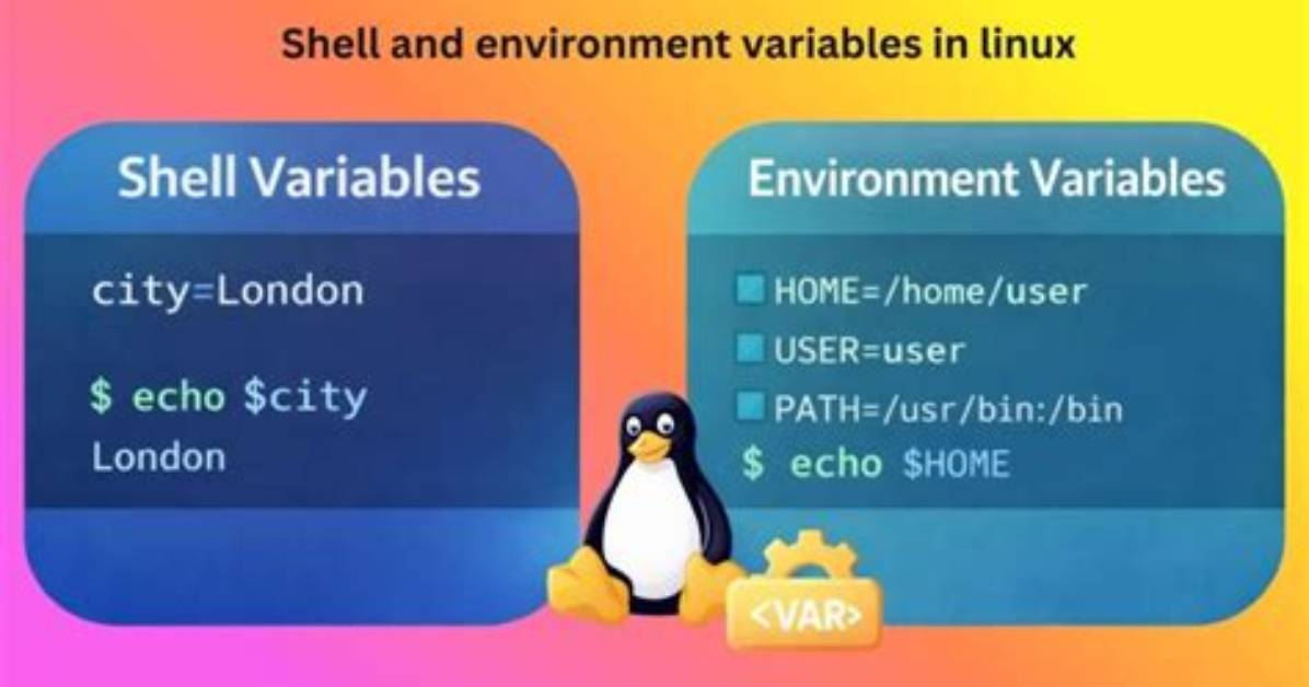 Question: What Are Shell Variables in Linux?
