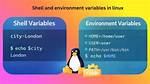 Question: What Are Shell Variables in Linux?