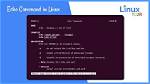 Question: What Does Echo Do in Unix?