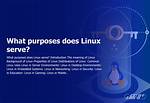 Question: What Does Linux Do?