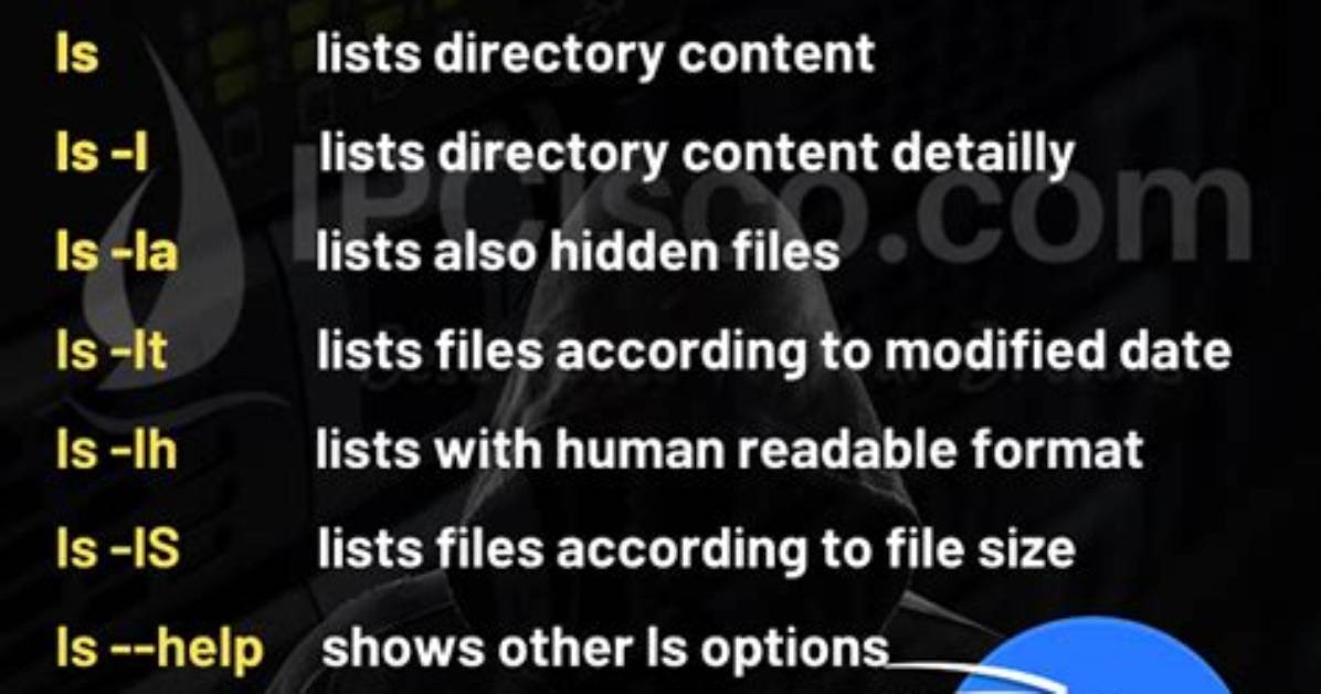 Question: What Does Ls Do in Linux?