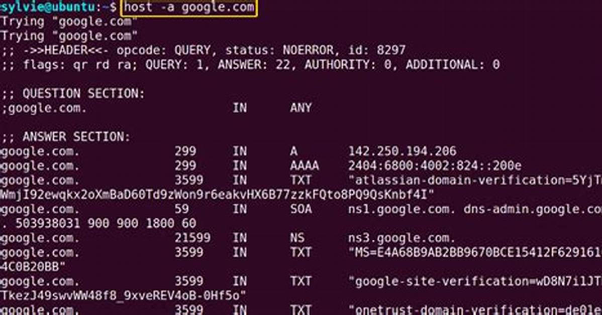 Question: What Does the Host Command Do in Linux?