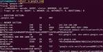 Question: What Does the Host Command Do in Linux?