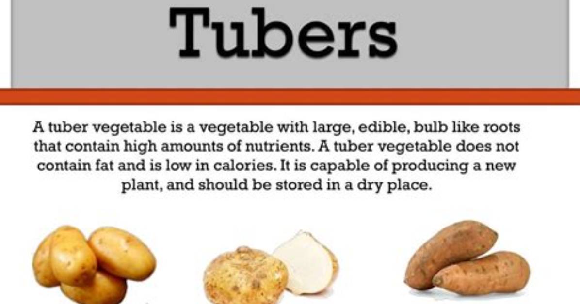 Question: What Does Tuber Mean