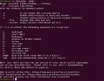 Question: What Is Echo in Linux?