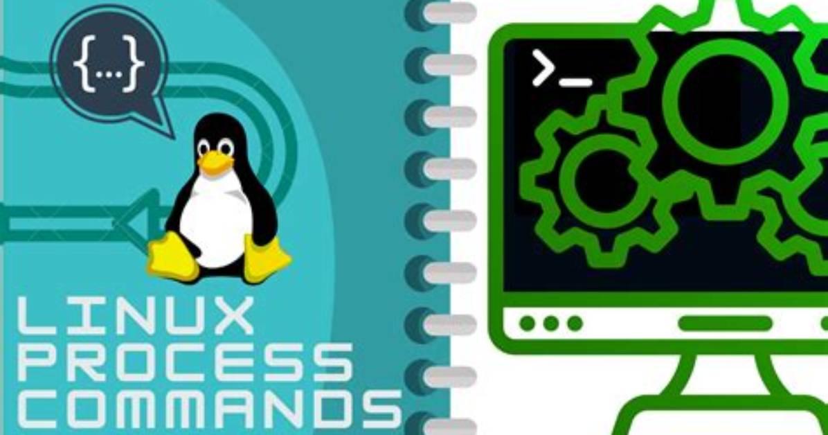 Question: What Is Process Command in Linux?