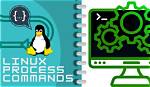 Question: What Is Process Command in Linux?