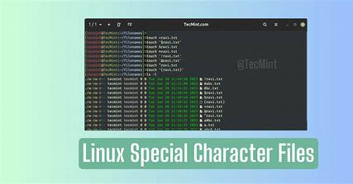 Question: What Is Special Linux?