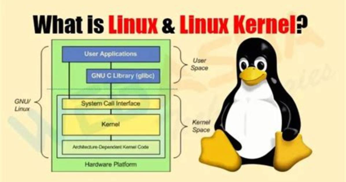 Question: What Is the Linux Kernel?