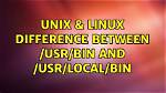 Question: Where Is Usr Local Bin Linux?