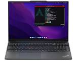 Question: Which Thinkpad for Linux?