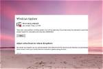 Question: Why Does Windows 10 Force Updates?