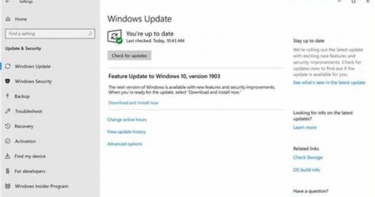 Quick Answer: Are Windows 10 Feature Updates Necessary?