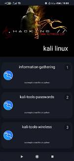 Quick Answer: Can Android Run Kali Linux?
