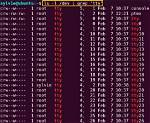 Quick Answer: How Check Tty Linux?