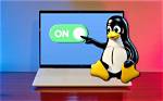 Quick Answer: How Do I Enable Linux Beta on My Chromebook?