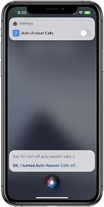 Quick Answer: How Do I Enable Siri on iOS 14?