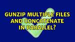 Quick Answer: How Do I Gunzip Multiple Files in Linux?
