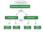 Quick Answer: How Does Fork System Call Work in Linux?