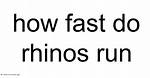 Quick Answer: How Fast Do Rhinos Run