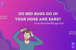 Quick Answer: How Many Bugs Does a Person Eat in a Year