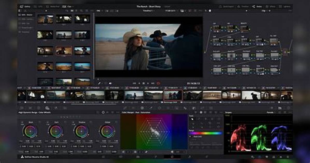 Quick Answer: How Much Does Davinci Resolve Cost