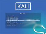 Quick Answer: How to Boot Kali Linux from Usb?