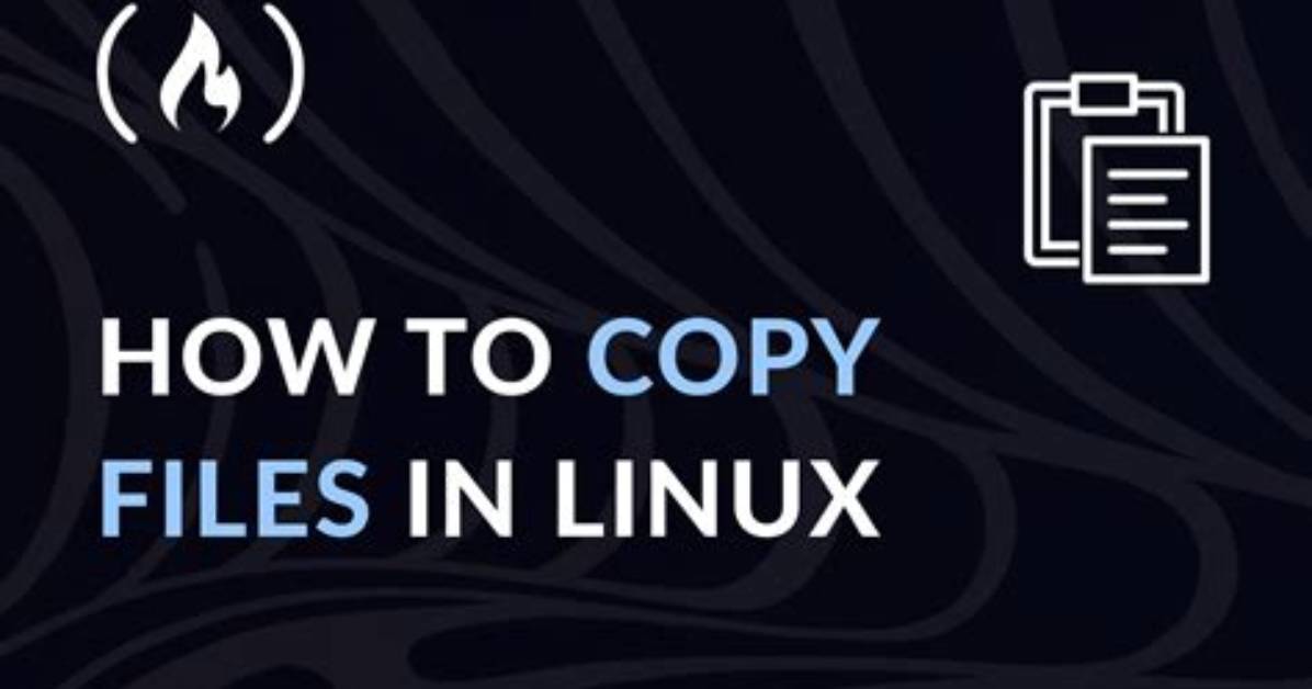 Quick Answer: How to Copy Files Linux?