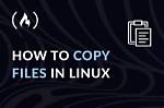 Quick Answer: How to Copy Files Linux?