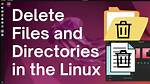 Quick Answer: How to Delete in Linux?