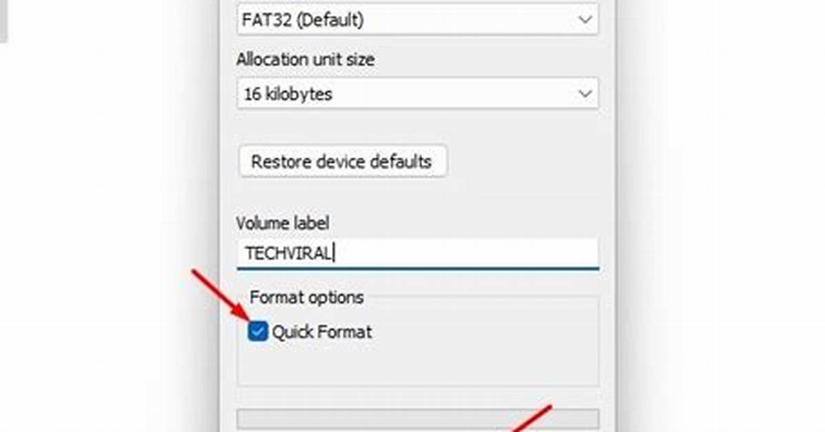 Quick Answer: How to Format a Usb Drive in Linux?