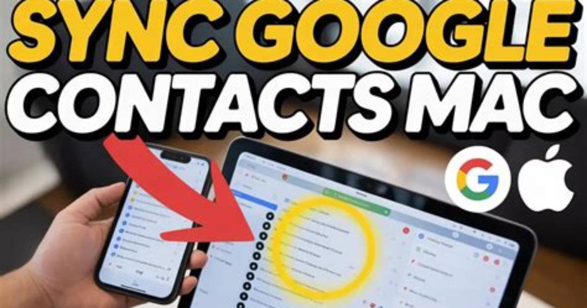 Quick Answer: How to Sync Google Contacts to Android?